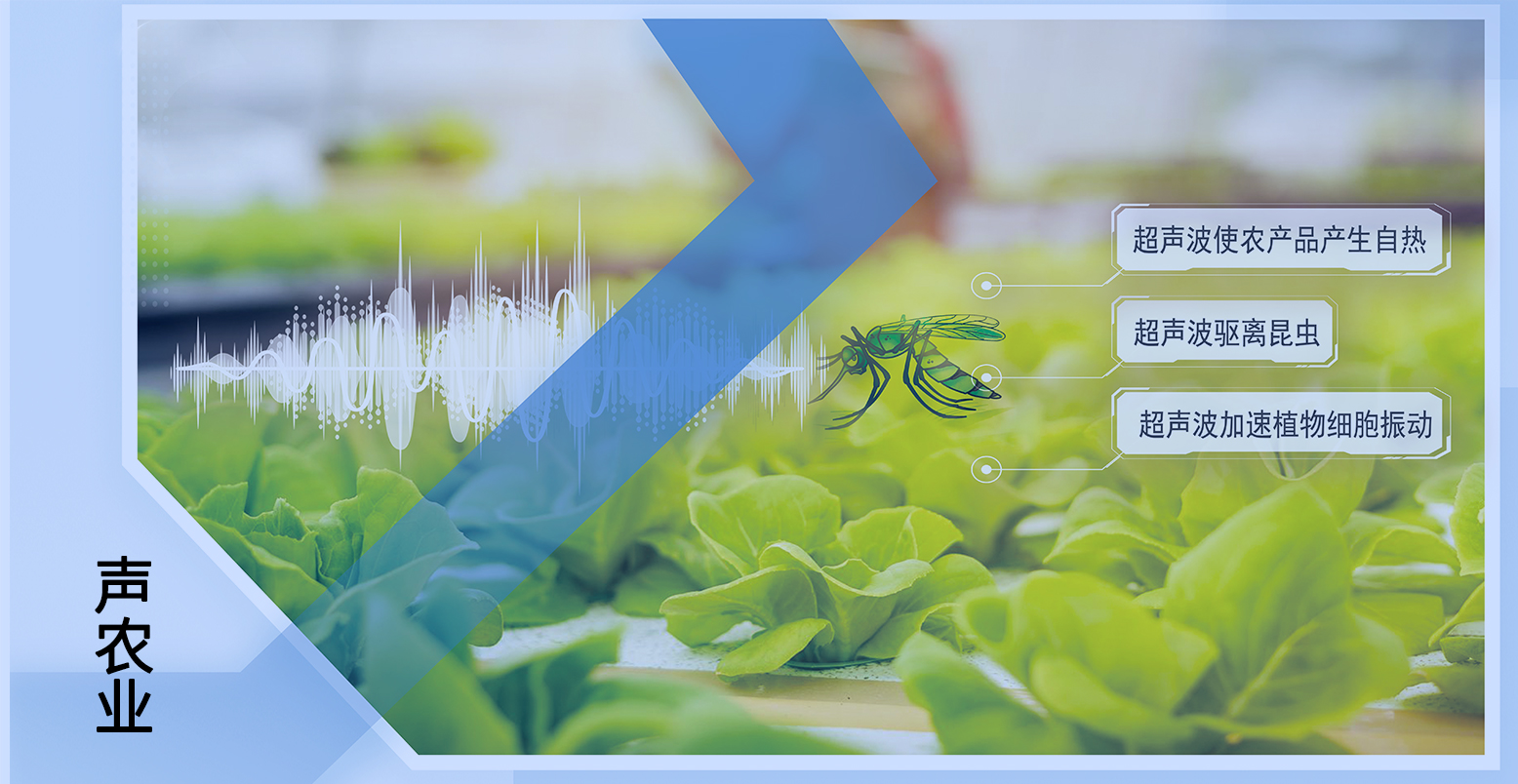 ����ͻ��-������κ�����_MG������Ϸ