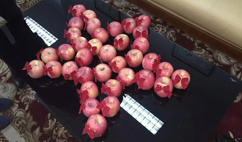 ����ͻ��-������κ�����_MG������Ϸ